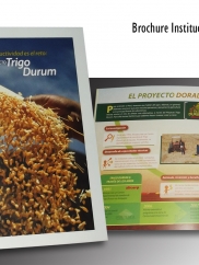 BROCHURE DE TRIGO DURUM